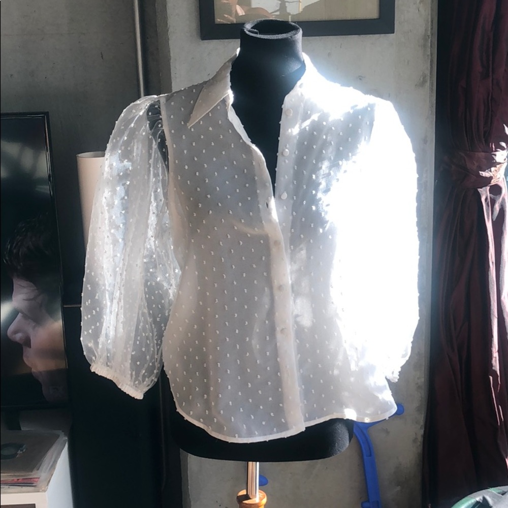 Zara puff sleeve Blouse